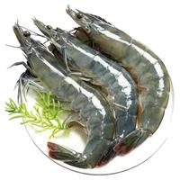 新鲜大虾鲜活基围虾超大青岛海虾冻虾对虾青虾2030盐冻虾海鲜水产