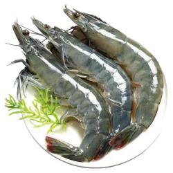 尚致 新鲜大虾鲜活基围虾超大青岛海虾冻虾对虾青虾2030盐冻虾海鲜水产