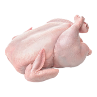 土记100天散养童子鸡 土鸡小公鸡鸡肉生鲜整鸡走地鸡 可清蒸白斩红烧 800g*5只