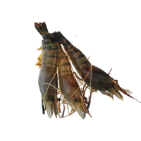 沢素湾 罗氏虾 超大号罗氏虾鲜活 大头虾 罗氏沼虾淡水虾王 生鲜冰鲜 2斤实惠【10-15只/斤】大号