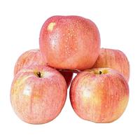 佳宝臣 VEYBOUSON洛川红富士苹果新鲜水果生鲜脆甜陕西 大果75mm-85mm 整箱 10斤净重9-9.5斤