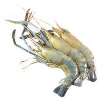 龙味福虾 青岛大虾鲜活基围虾青虾白虾海捕虾对虾冰虾冻虾生鲜 虾类海鲜 约14-16厘米【单只冻无冰衣】 盐冻大虾4斤【只只分离】 盐冻大虾4斤【单只分离】