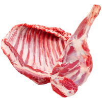 滩羊鲜生 宁夏滩羊肉 生鲜纯手工羊肉串家庭空气炸锅烤串户外烤肉烧烤食材 【6斤腿排】3前腿+3羊排