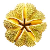 隆盛斋泰国金枕榴莲整箱鲜榴莲鲜果A果整个带壳 时令生鲜 精选金枕榴莲 2个装9-10斤/(保4-5房)