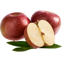 馋半仙【24年新果】甘肃天水产地花牛粉面苹果 新鲜水果好礼粉粉面苹果 带箱5斤13-17枚（65-70mm果）