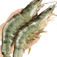 鲜驰xianchi大虾鲜活超大青岛基围虾特大1500克/盒2030盐冻海虾海鲜水产