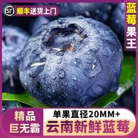 百亿补贴：沃耶 云南蓝莓新鲜特大果 20mm+ 孕妇宝宝应季水果一整箱包邮