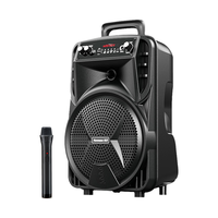 纽曼N509广场舞音响大功率扩音器户外大音量移动便携式家用手提蓝牙音箱演出k歌地摊摆摊喇叭带麦克风