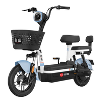  宝岛电动车 BODO 新国标电动车48V20AH可上牌电动自行车电瓶车
