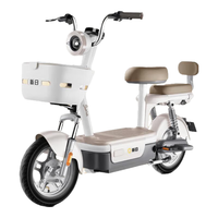 SUNRA/新日 长续航 电动自行车 铅酸电池 12Ah 48V