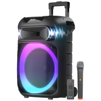 PHILIPS/飞利浦 大音量 户外音响 麦克风