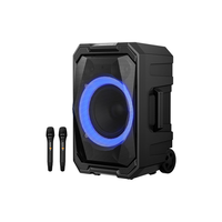 PHILIPS 飞利浦 SD617 广场舞音响蓝牙拉杆音箱家用卡拉ok派对K歌户外大功率低音炮可录音扩音器  双麦版