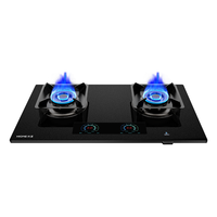 火王（Hione）语音液化气煤气灶双灶家用智能触控磨砂面板易清洁灶具燃气灶天然气灶M2/2302插电款