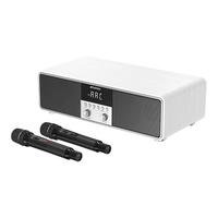 SANSUI/山水 重低音炮 KTV音响套装 白色