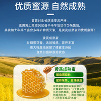 山萃（SUNDRY）黄芪成熟蜜500g天然纯蜂蜜 不齁甜 送老人实用中粮央企