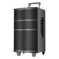 纽曼L23广场舞音响户外蓝牙音箱低音炮大音量家用k歌手提便携式移动扩音器地摊摆摊大喇叭带无线麦克风 8寸拉杆音箱（单话筒+遥控器）