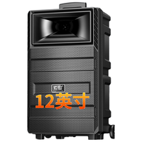 SOAIY 索爱 SA-T20  广场舞音响 黑色