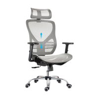 Gedeli 歌德利 G18 八代人体工学椅