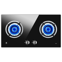 樱花卫厨 SAKURA() BDB02 燃气灶具 液化气 黑色