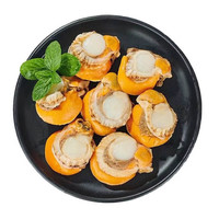 福字号 Signs of Happiness 冷冻大号扇贝肉带黄1000g 粉丝扇贝原料海鲜水产