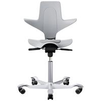 SB Seating Capisco Puls 人体工学骑马椅