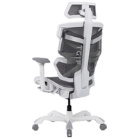 TGIF拓际电竞椅人体工学椅6D扶手带脚托久坐透气电脑游戏家用办公椅 【带脚托】冰魄白6D带脚托
