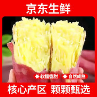 壹棵弘芯 疆域采虹正宗海南芒果 10斤精选大果带箱装单果130-160g