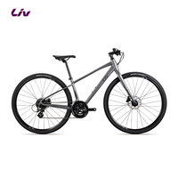 Liv 丽以芙Alight 2 DD Disc女士平把16速轻便休闲通勤公路自行车 全消光闪耀灰