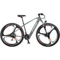 PHOENIX 凤凰 590 自行车 TDE101Z 全地款