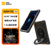 AGM P2 Active 重装版 10.95英寸 平板电脑（1200x1920、MTK Helio G99、8GB、256GB、WLAN、黑色）