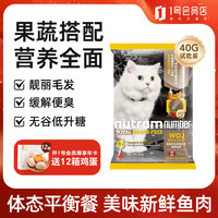 纽顿 无谷猫粮T24美国进口全价猫粮通用T24鳟鱼味40g
