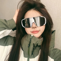 斐月伽 户外运动眼镜 滑雪登山防风遮阳太阳镜骑行护目墨镜