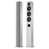 PIEGA品歌TMicro AMT时尚系列书架式落地音箱HIFI家庭影院音响