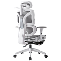 科润 KR-W203-11.28 人体工学椅子  极白