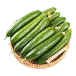 京鲜生 山东水果小黄瓜 净4.5斤 单果70g+