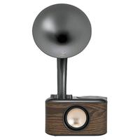 SANGEAN 山进 CHOPIN 2.0声道 户外 便携蓝牙音箱