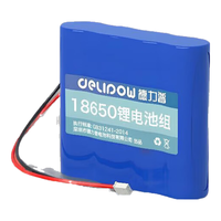 德力普 14.8V 3000mAh 锂电池组 XH2.54-2P-A 18650充电器
