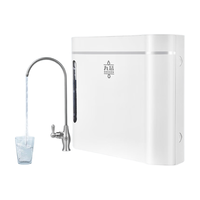 九芯净水器家用厨下式直饮净水机NSF认证可乐丽椰壳活性炭*2+0.01微米超滤膜白色智能服务套装 白色 智能服务套装