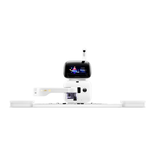  SENSEROBOT/元萝卜 AI讲题 围棋AI机器人