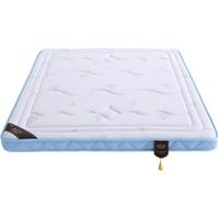 棕垫椰棕棕榈硬席梦思乳胶床垫1.8m 1.5米折叠经济型定做