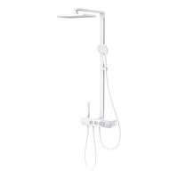 R&T瑞尔特花洒淋浴套装自动除垢四功能手持置物台家用洗澡沐浴器k20