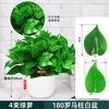 阳净 仿真植物绿萝饰品 4束超大盆180罗马柱白盆