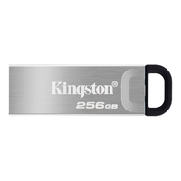 Kingston 金士顿 DTKN/256GB USB 3.2 Gen 1 U盘 银色 256GB USB+Type-C转接头