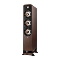 Polk/普乐之声 ES60 HiFi落地音箱一对 家庭影院客厅专用无源音响