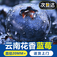 甘福园 蓝莓鲜果新鲜水果云南l25蓝莓高山花香怡颗甜莓大果产地直发整箱 8盒*125g 特大果 20-24mm