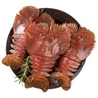 遇上鲜 舟山琵琶虾 海鲜 冷冻九齿扇虾 净重900g (6-8只/斤) 源头直发