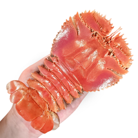 昌鲜园舟山琵琶虾野生鲜活冷冻九齿扇虾海捕濑尿虾新鲜虾姑海虾船冻爬虾 1000g(净重)  7-8只/斤【11-13cm 产地直发】