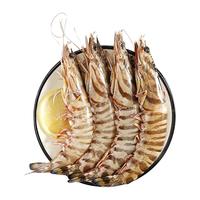 遇上鲜 舟山竹节虾 海鲜 活冻斑节九节虾 净含量2斤(30-40只) 源头直发 【共30-40只】 2斤(净重)  装