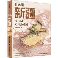 什么是新疆 星球研究所   中信出版社 书籍 图书