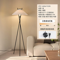 雷士（NVC）25年客厅落地灯沙发旁边复古极简创意灯具书房卧室LED氛围灯 极简风-A款-赠7W三色尖泡